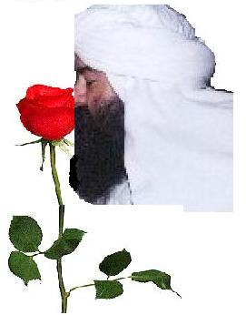 Bismillah Arham Arahim - En nombre de DIOS, el Misericordioso y Bienaventurado - La Rosa nuestro simbolo - Click aqui para leer sobre El Camino Sufi.